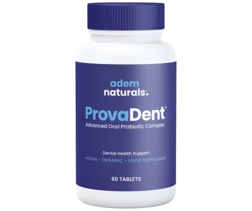 provadent review 2026